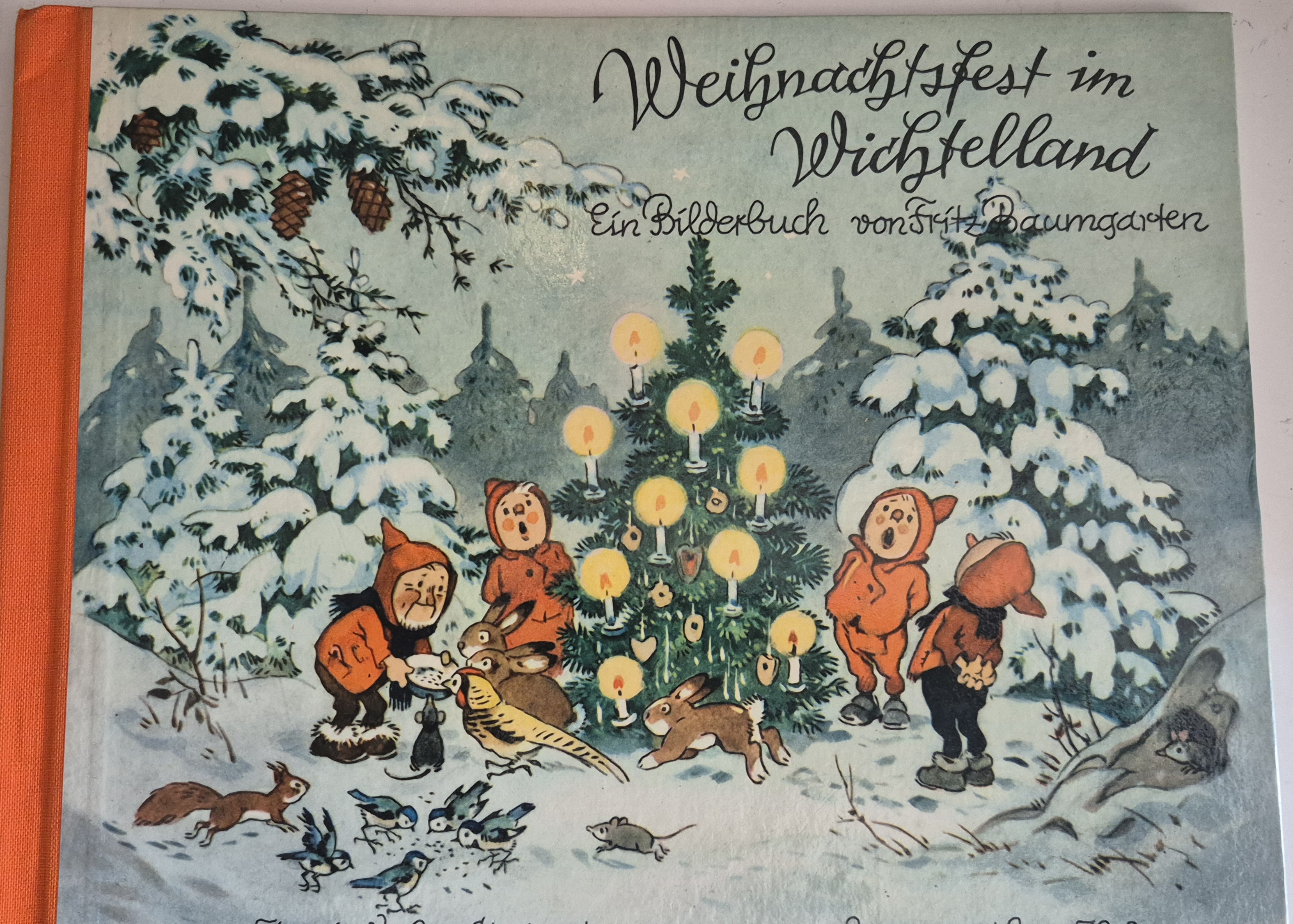 Weihnachtsfest im Wichtelland BilderBuch *KULT * 