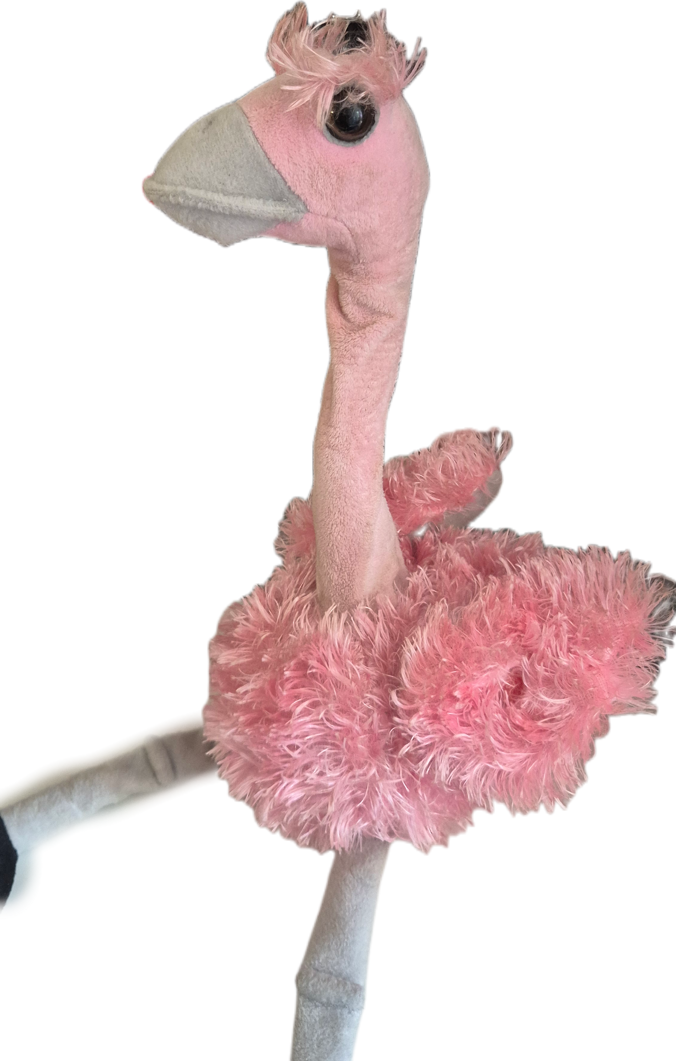 Singender und tanzender Kult-Flamingo*Der Abschuss*